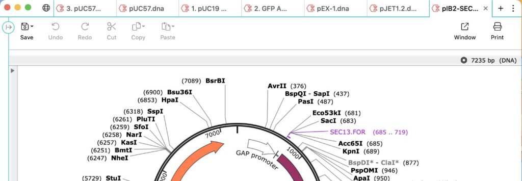 SnapGene